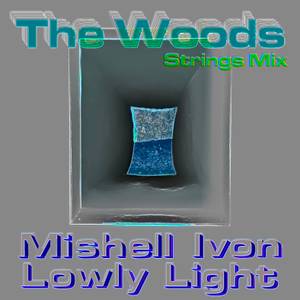 Mishell Ivon x Lowly light