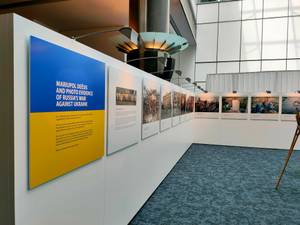 Exhibition Services - Panels & Placement 